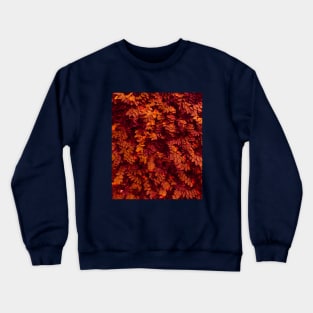 Autumn red and orange leaves - Abstract photography Crewneck Sweatshirt